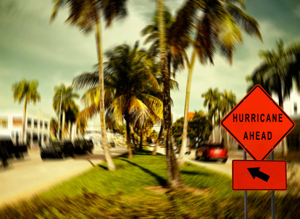 istock Hurricane - storm road sign, Miami 957841012