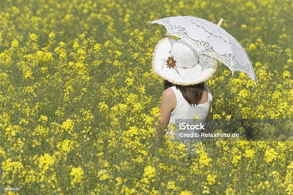 Widok z tyłu Dziewczyna z biały Parasolka przeciwsłoneczna w canola pole - Zbiór zdjęć royalty-free (Aspiracje)