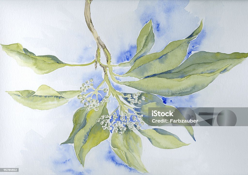 Blühende Ivy Branch - Lizenzfrei Aquarell Stock-Illustration