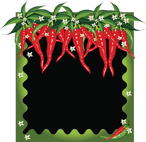 Wavy frame with chili pepper lined top vector art illustration
