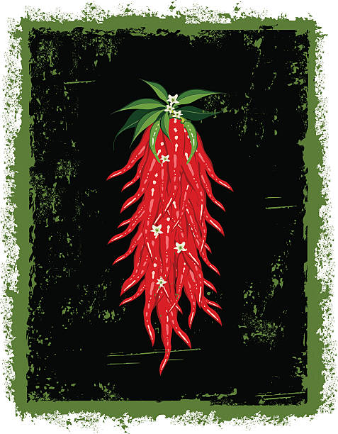 Grungy chili peppers hanging vector art illustration