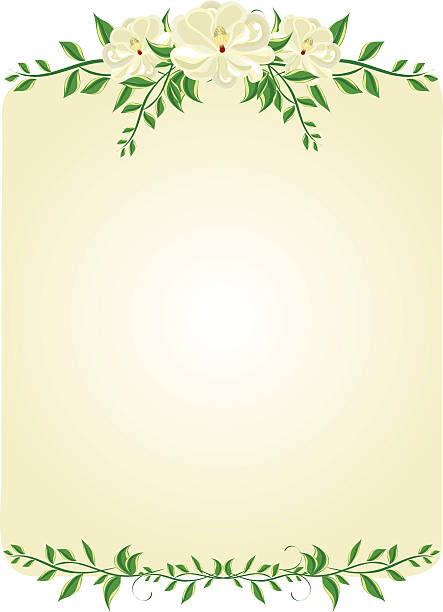 Magnolia Floral Scroll Background vector art illustration