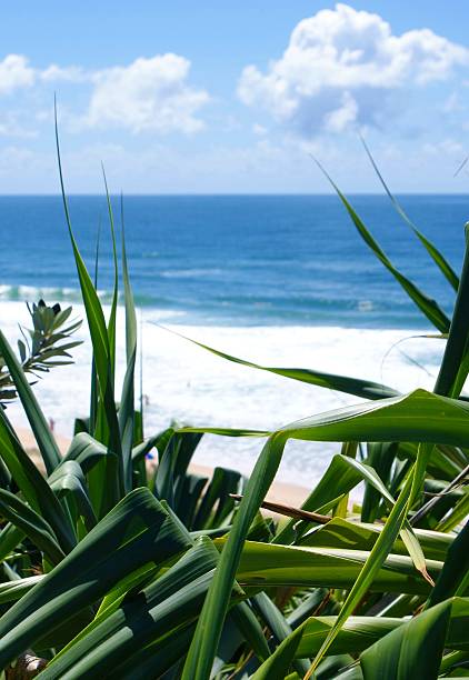 istock View of ocean from a cliff face 95785453