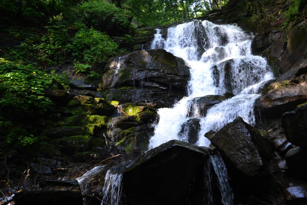 istock mountain beautiful waterfall stream in forest stock 957856238
