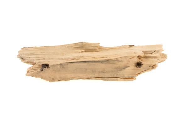 istock piece of wood, chips on a white background 957860284