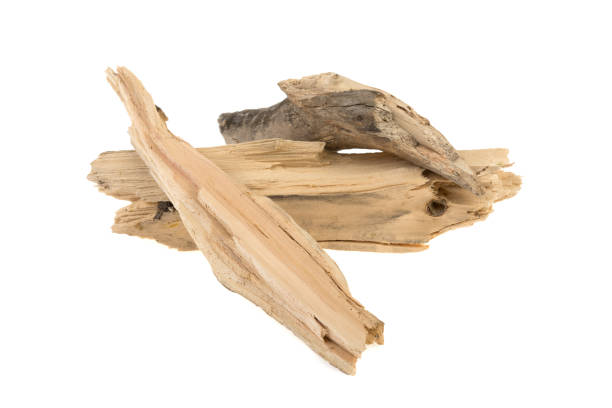a piece of wood, firewood for a fire on a white background a piece of wood, firewood for a fire on a white background sandalwood stock pictures, royalty-free photos & images