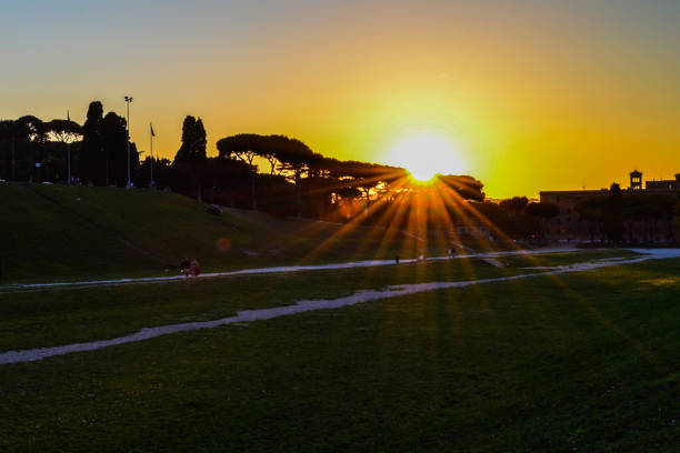 tramonto al circo massimo a roma. bellissimo tramonto in un parco archeologico nel mezzo di roma. - vatican sky summer europe foto e immagini stock