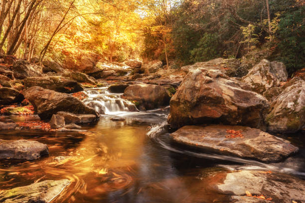 crabtree falls, près de la blue ridge parkway en caroline du nord en automne - rapid appalachian mountains autumn water photos et images de collection