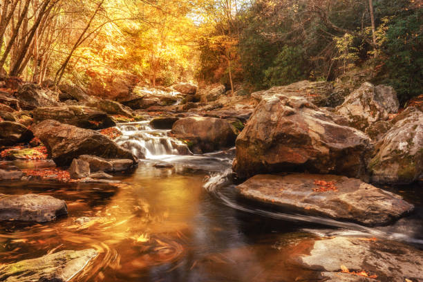 crabtree falls near the blue ridge parkway in autumn	north carolina - rapid appalachian mountains autumn water imagens e fotografias de stock