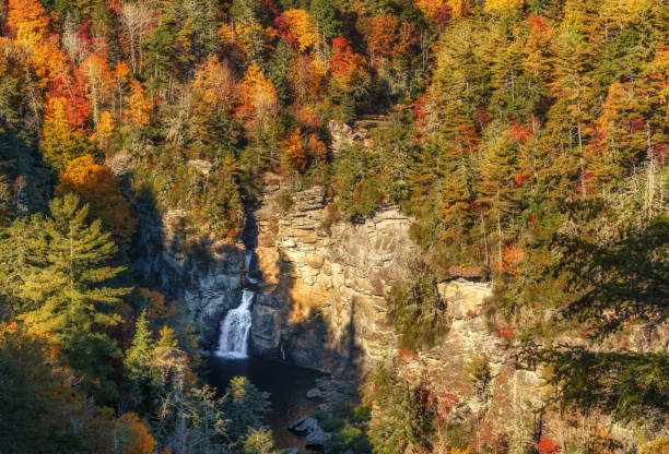 линвилл-фолс осенью с видом эрвина - blue ridge mountains stream forest waterfall стоковые фото и изображения