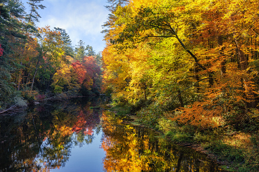 River view with trees in autumn colors on both banks. A bridge is crossing the river in the distance. A blue sky with clouds is in the background. The water is reflecting the blue sky and white clouds