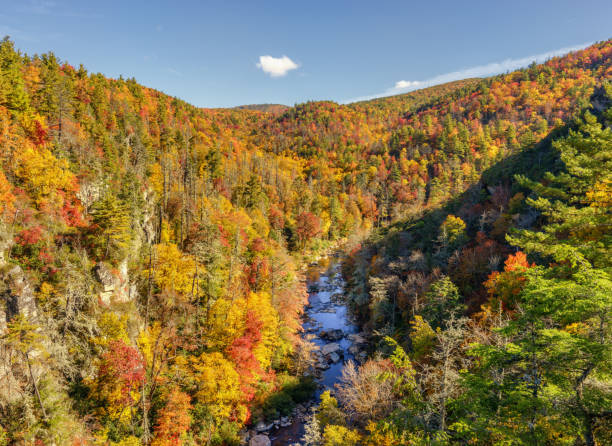 リンビル渓谷 - リンビル川で秋 - north carolina mountain river autumn ストックフォトと画像