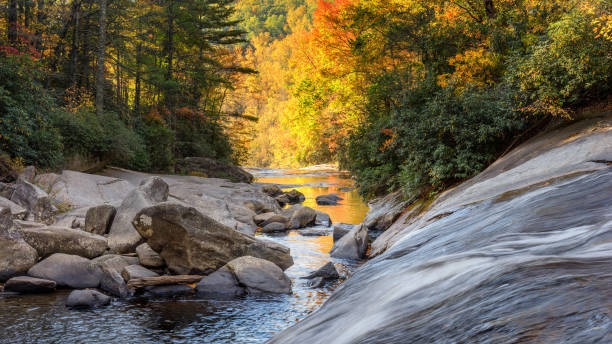 istock Gorges State Park - Turtleback Fall on Horsepasture River in Autumn 957864008