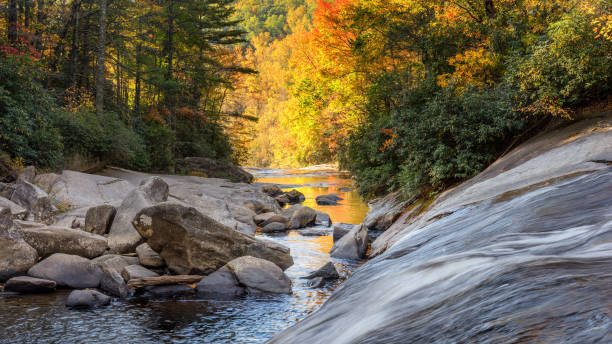 ущелье государственный парк - черепаха падение на реке horsepasture осенью - north carolina mountain river autumn стоковые фото и изображения