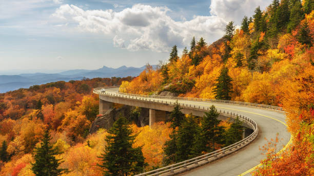 istock Linn Cove Viaduct in Autumn - Blue Ridge Parkway 957864270