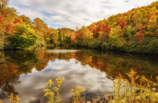 istock Autumn at Sims Pond on the Blue Ridge Parkway 957865026
