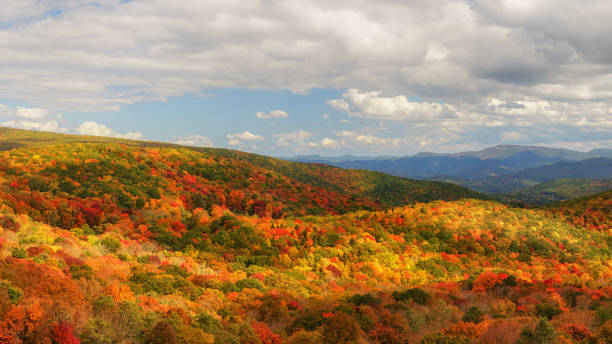 istock Autumn at Grayson Highlands State Park Virginina 957867266