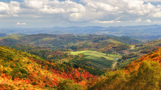 Autumn at Grayson Highlands State Park Virginina Beautiful state park in Virginia.  The Appalachian trails runs through parts of it. state park stock pictures, royalty-free photos & images