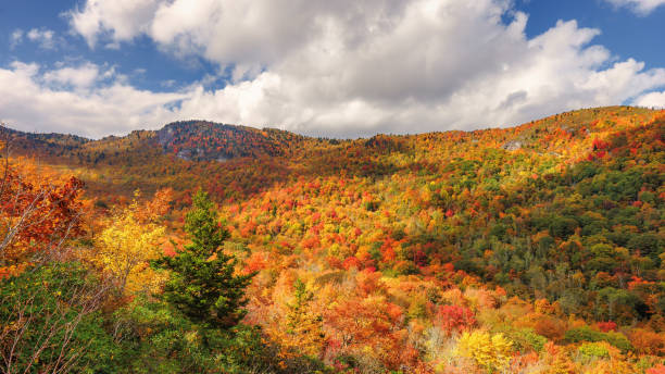 istock Autumn hiking on Cragway trail down Grandfather Mountain 957867510
