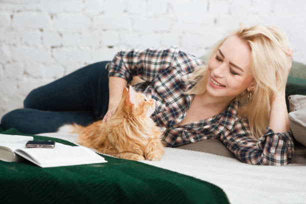 istock Young woman playing with cat in home. 957867580