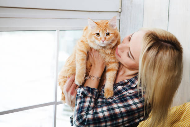 istock Young woman playing with cat in home. 957867582