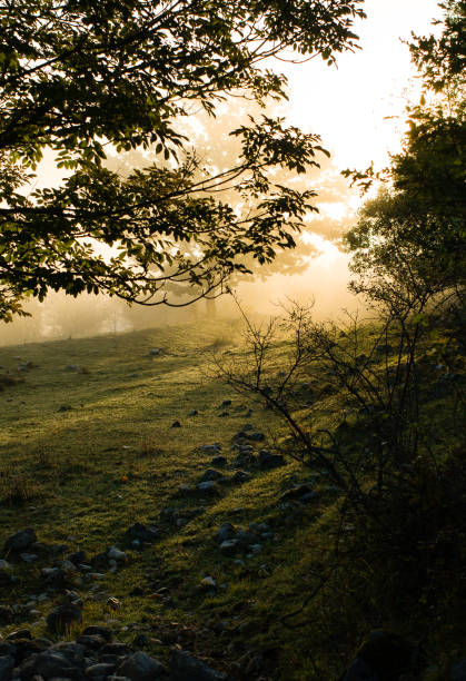 istock Abruzzo and Molise National Park 957867962