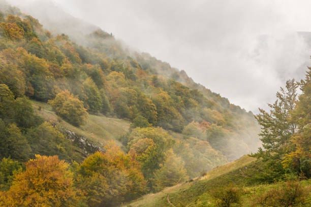 istock Abruzzo and Molise National Park 957868274