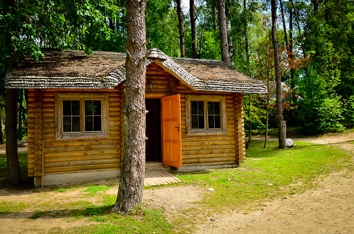 A little rustic log cabin in the woods with open door in sunny day