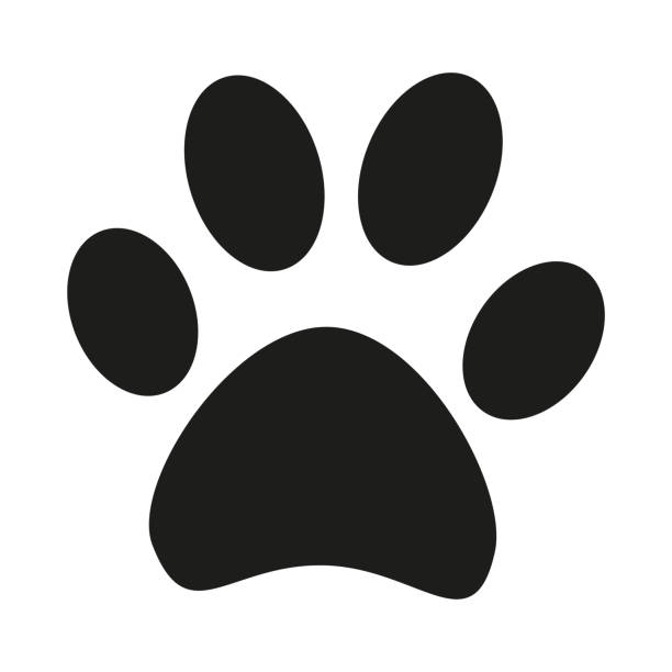 Black and white cat paw footprint silhouette Black and white cat paw footprint silhouette. Hunter tips on wilderness exploring. Pet themed vector illustration for icon, sticker, patch, label, sign, badge, certificate or gift card decoration panthers stock illustrations