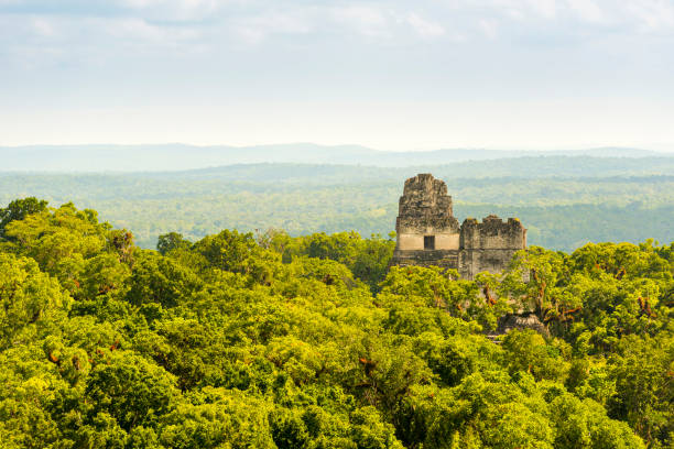 istock Tikal Ruins Guatemala 957874768