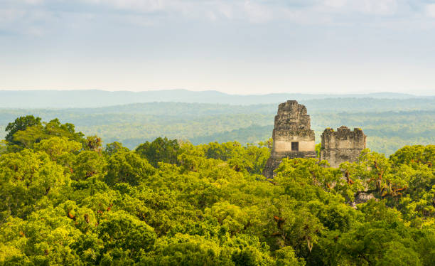 istock Tikal National Park Guatemala 957875318