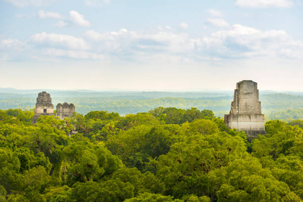 istock Tikal National Park Guatemala 957875618