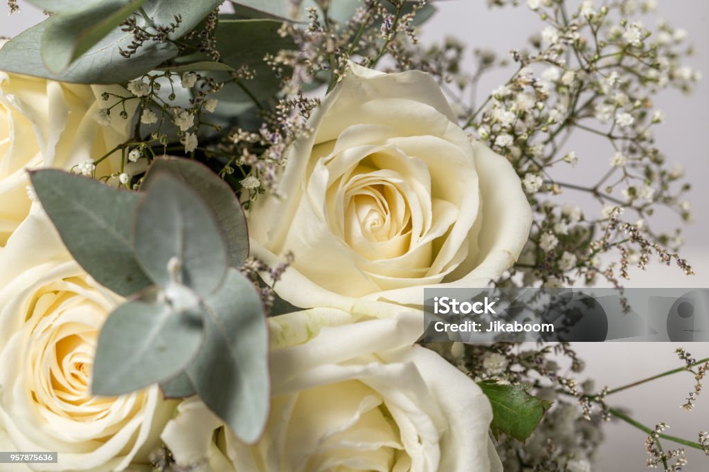 White Roses Arrange White Roses Arranged Into A Bouquet Stock Photo - Download Image Now ...