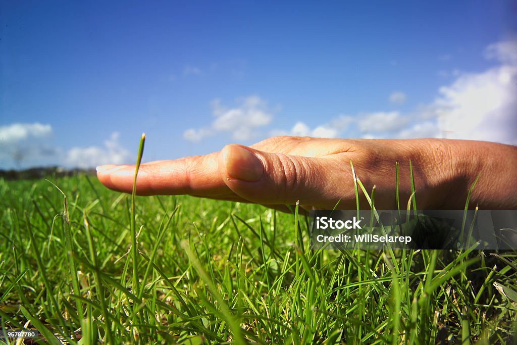 Mano, hierba y el cielo. - Foto de stock de Aire libre libre de derechos