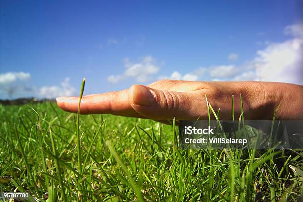 Ręka Trawy I Niebo - zdjęcia stockowe i więcej obrazów Bez ludzi - Bez ludzi, Dotykać, Fotografika