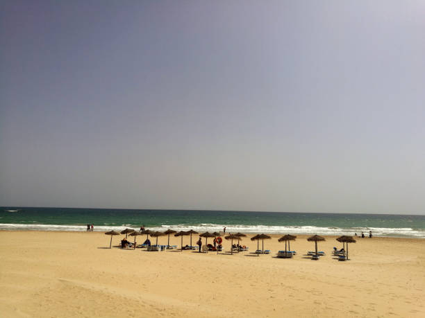 istock Beach umbrellas on the seashore 957879428