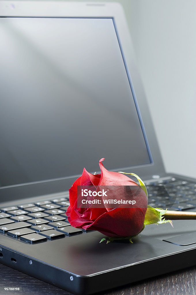 Laptop i rose - Zbiór zdjęć royalty-free (Klawiatura komputerowa)