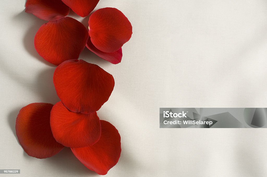 Petali di rosa rosso - Foto stock royalty-free di Amore