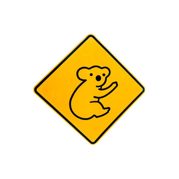 コアラの警告サイン - koala sign australian culture animal点のイラスト素材／クリップアート素材／マンガ素材／アイコン素材