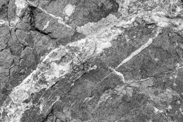istock Beautiful stone texture close-up. Black and white image 957883666