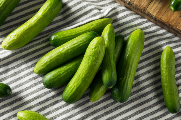 istock Raw Green Organic Baby Cucumbers 957887518