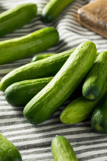 istock Raw Green Organic Baby Cucumbers 957888456