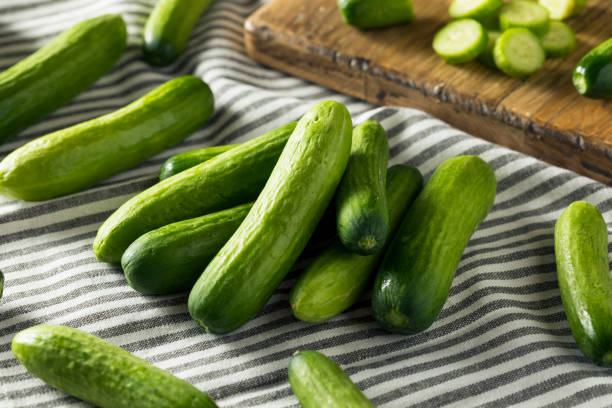 Raw Green Organic Baby Cucumbers stock photo