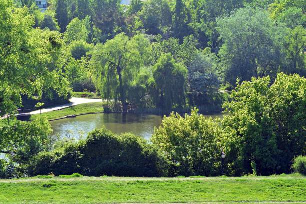 istock Lake in the park 957892586