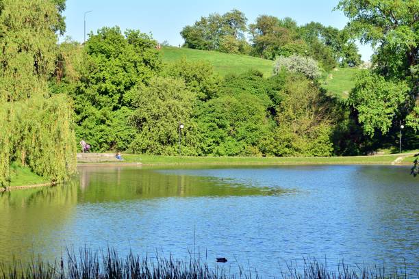 istock Lake in the park 957896248