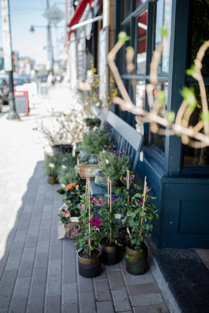istock Flower plant on the sidewalk 957900274