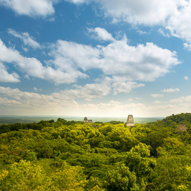 istock Tikal Guatemala Mayan Ruins 957900972