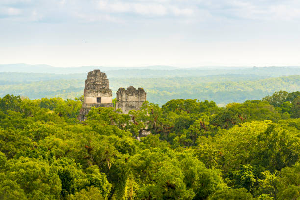 istock Tikal Guatemala Mayan Ruins 957901454