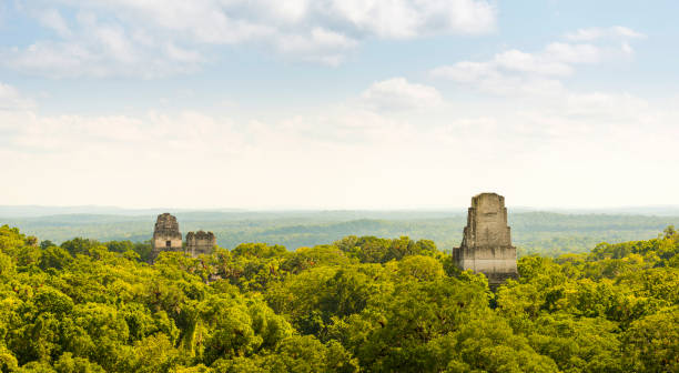 istock Tikal Guatemala Mayan Ruins 957903706