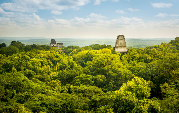 Tikal Guatemala Mayan Ruins Tikal in Guatemala, an ancient Mayan city in ruins surrounded by jungle guatemala stock pictures, royalty-free photos & images